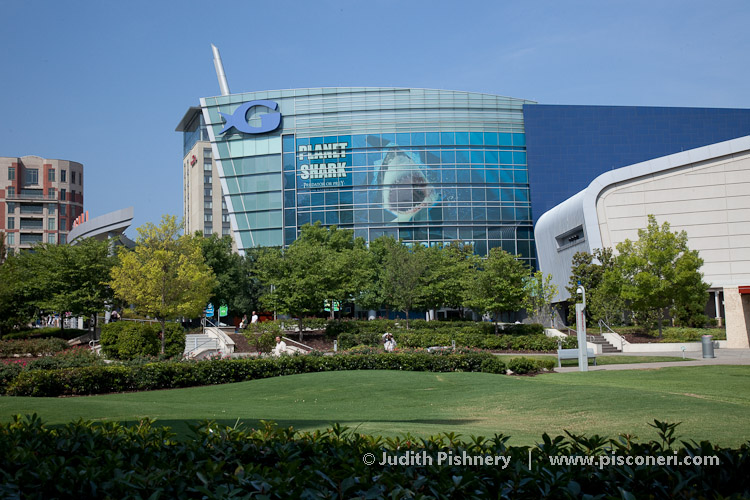 23/34      |      Georgia Aquarium . Atlanta