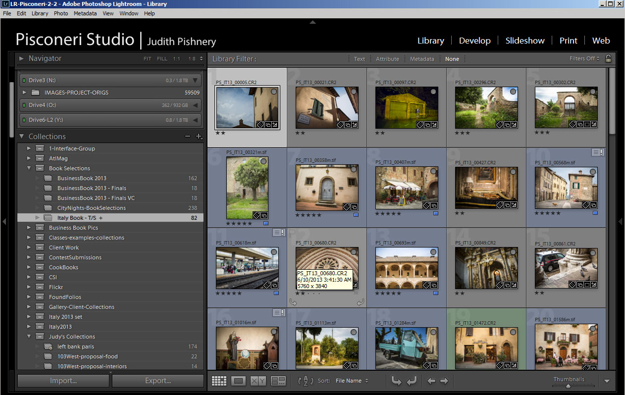 lightroom library panel example